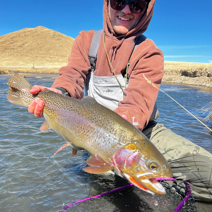 3 Flies for the Week: April 29