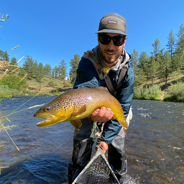 3 Flies for the Week: May 13