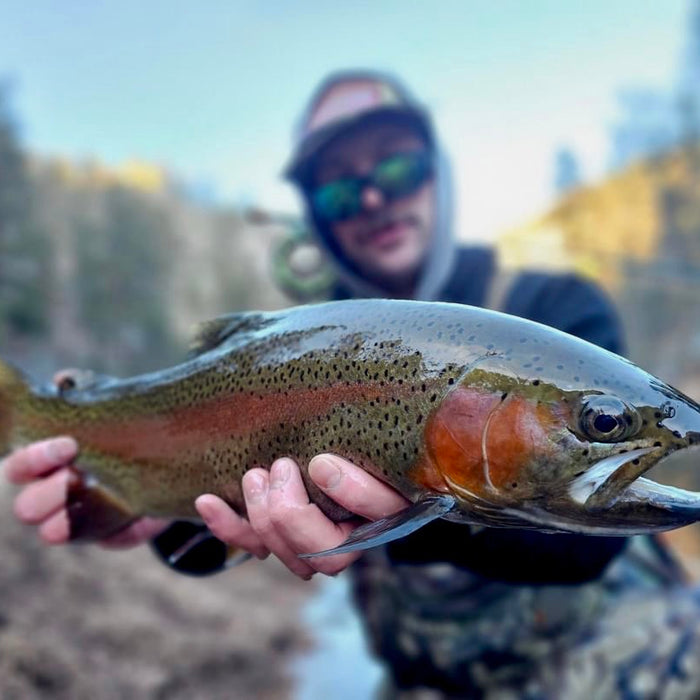 Trip Report: Cheesman Canyon 1/2/24