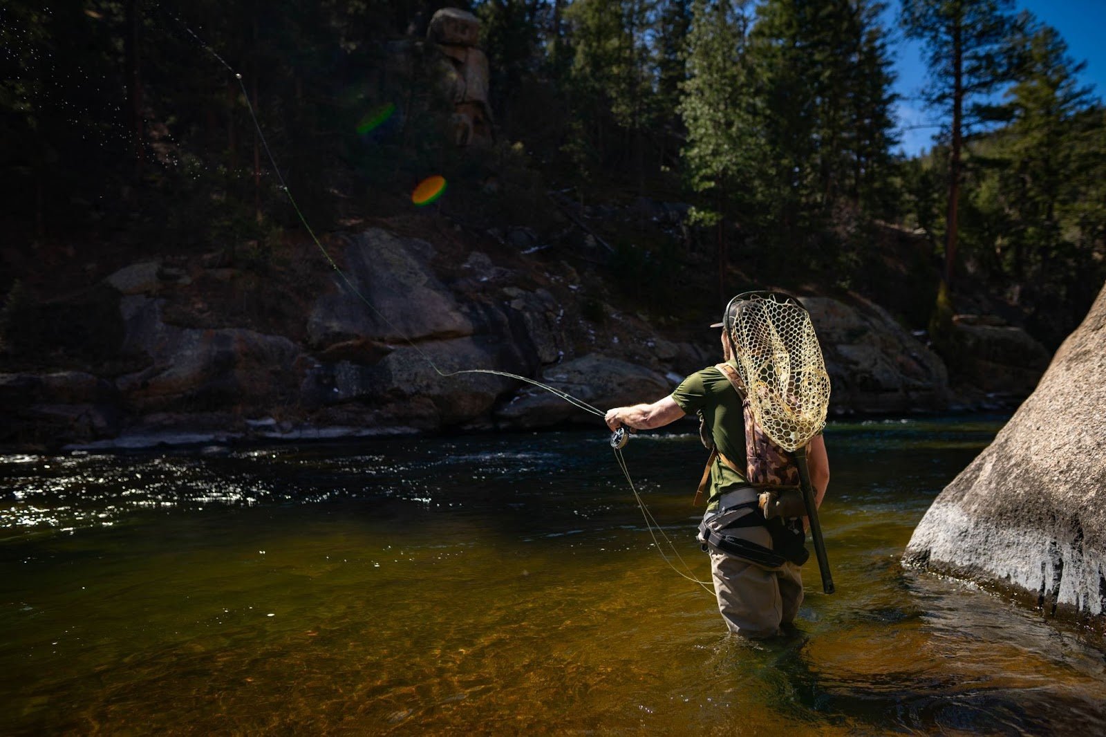 April Setup of the Month: BWO Perfection - Golden Fly Shop