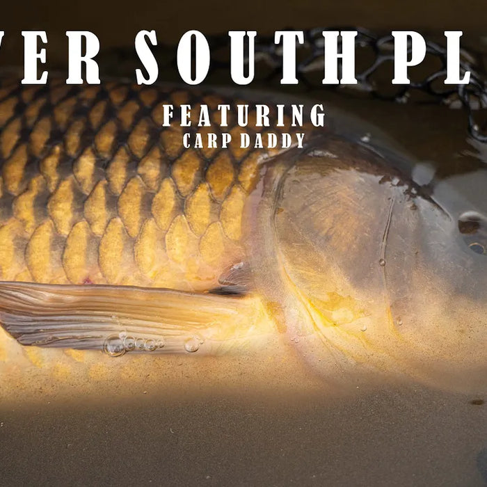 MEET THE STAFF Ep.1 - Fly Fishing the Denver South Platte w/Tryston (aka Carp Daddy)