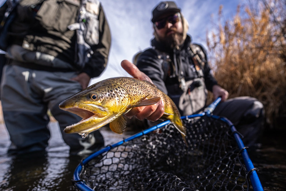 Going Against the Grain: Try Something Different This Winter!