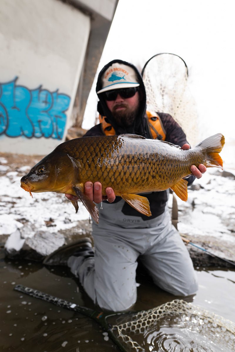 Fall & Winter Fly Fishing for Carp — Golden Fly Shop