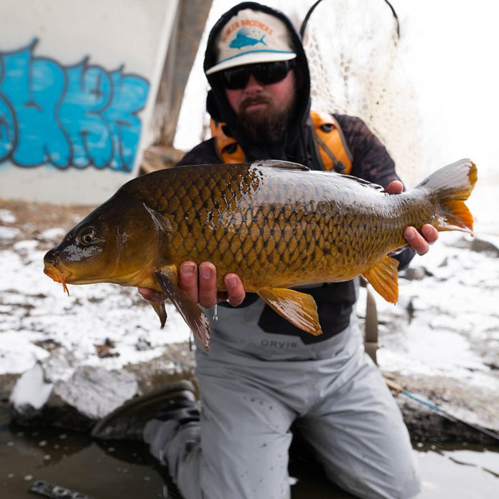 Fall & Winter Fly Fishing for Carp - Golden Fly Shop