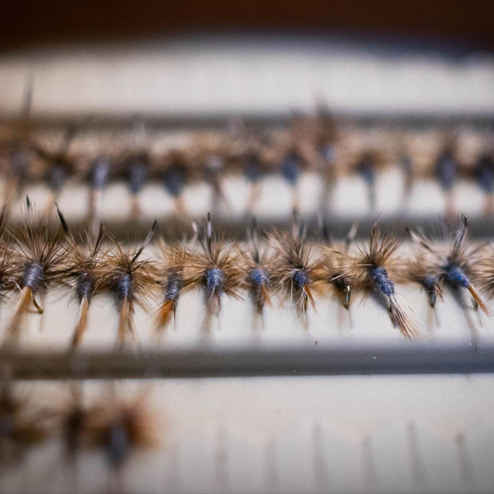 Famous Fly History 2: Adams - Golden Fly Shop