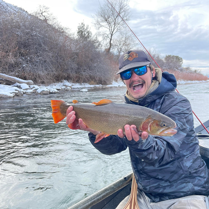 3 Flies for the Week: January 2