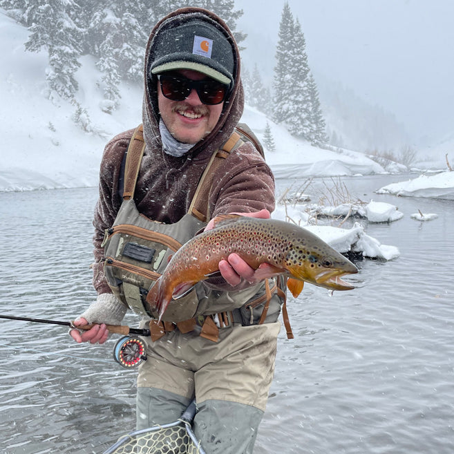 3 Flies for the Week: January 10