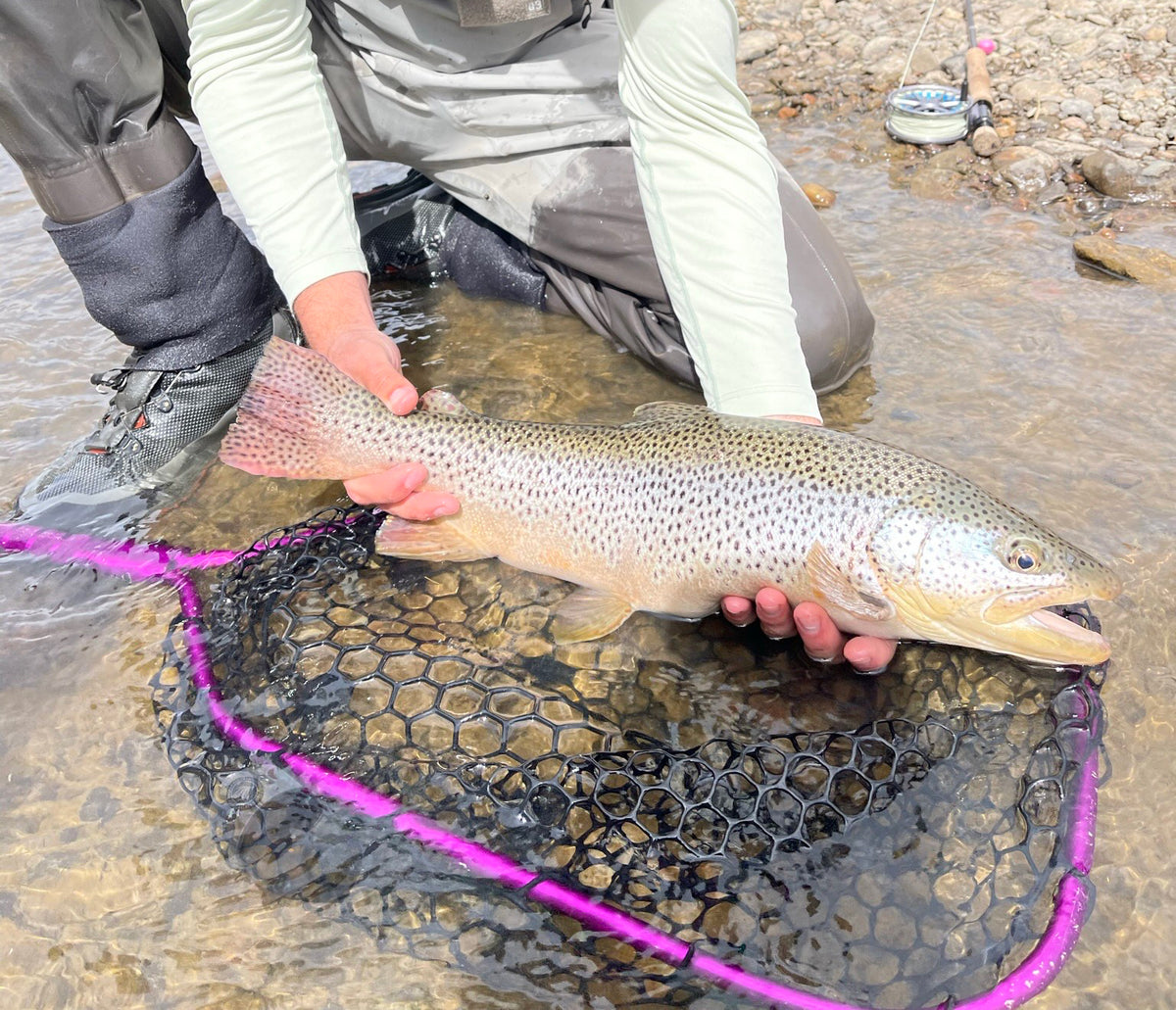 3 Flies for the Week: December 18 — Golden Fly Shop