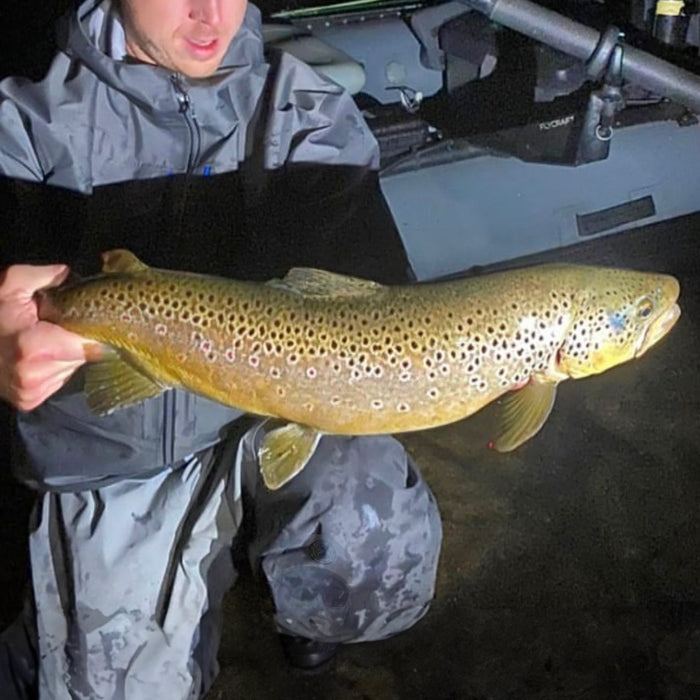 big ole brown trout caught at night