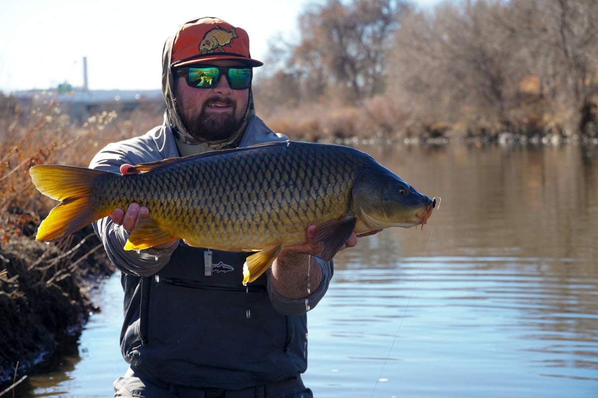 3 Flies for the week: February 5 — Golden Fly Shop