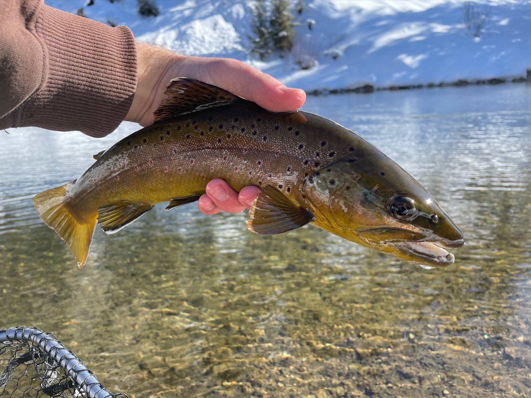 5 Tips To Improve Your Winter Nymphing