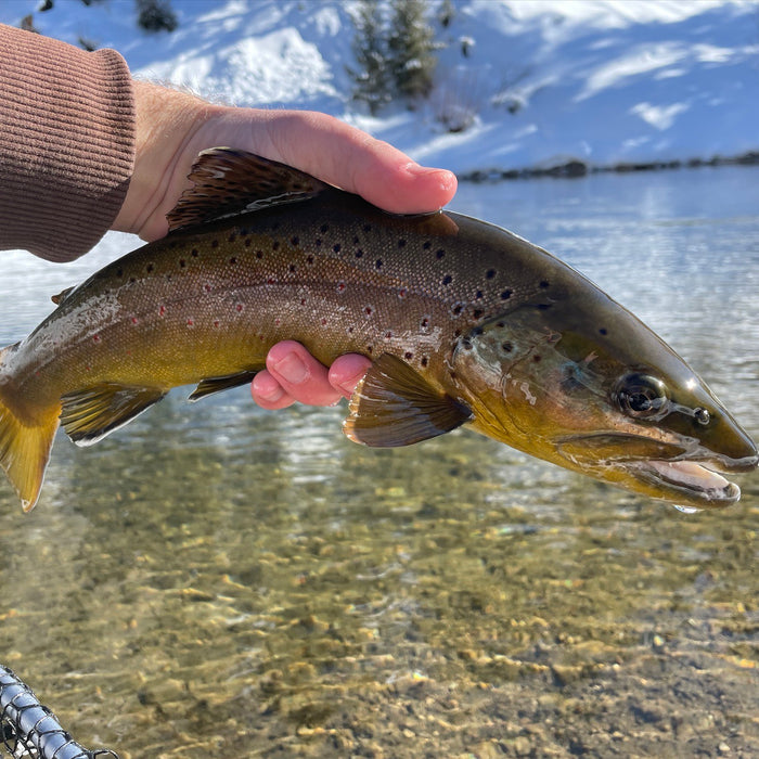 5 Tips To Improve Your Winter Nymphing