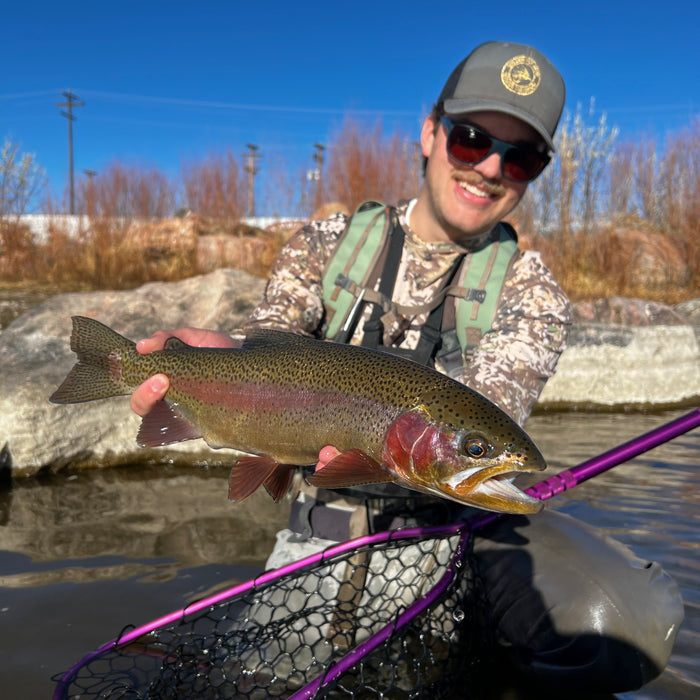 3 Flies for the Week: January 10