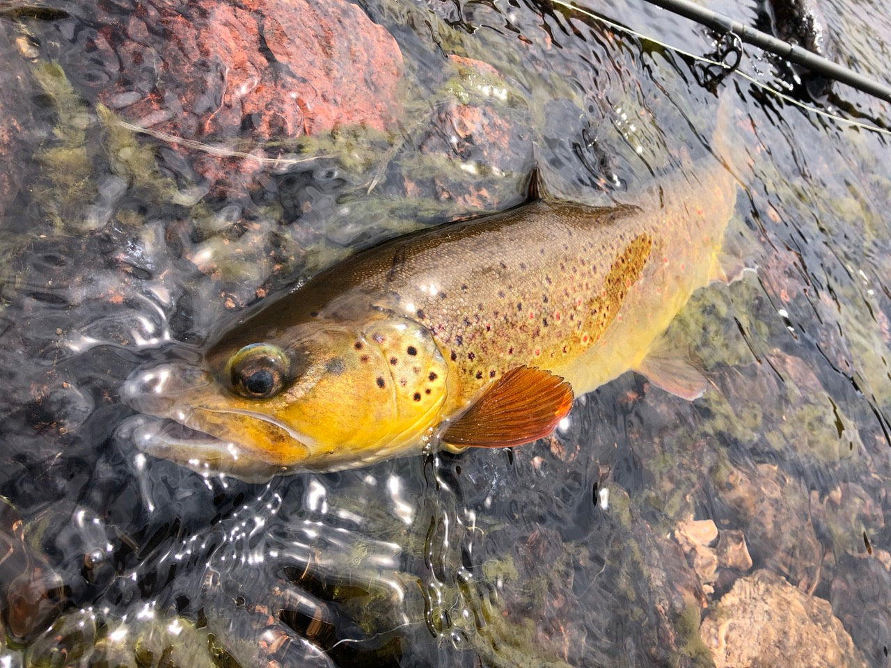 5 Tips for Better Fall Fishing