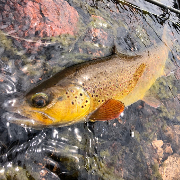 5 Tips for Better Fall Fishing