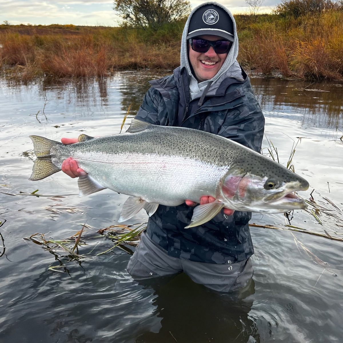 20lb Rainbow Naknek Alaska