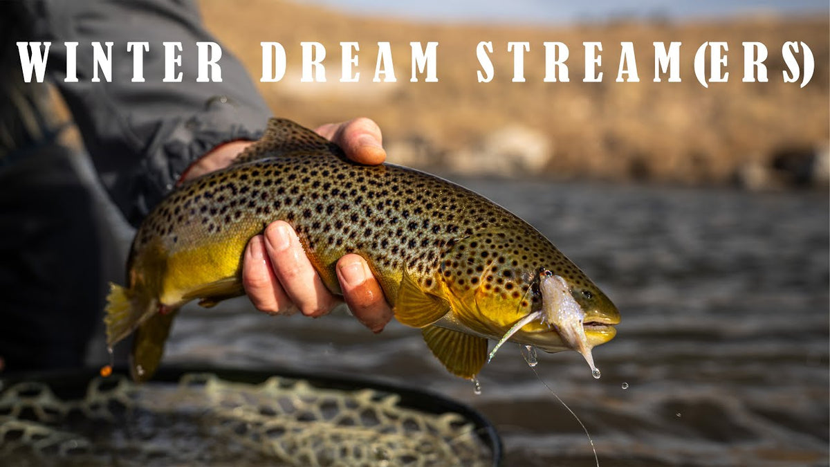 Nice Brown on the Dream Stream