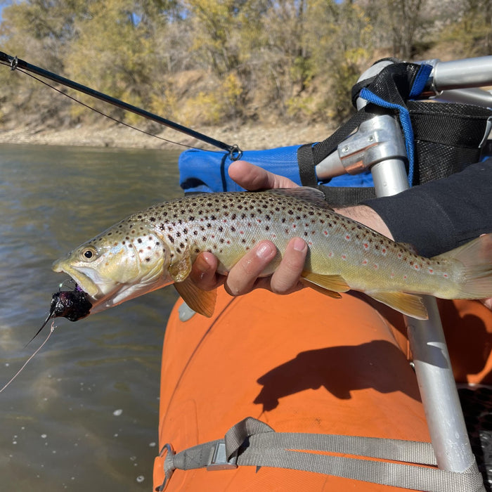 Streamer Fishing 101: 4 Tips To Get Started - Golden Fly Shop