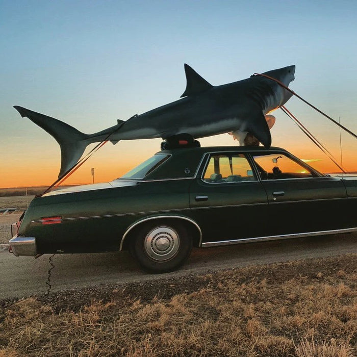 The shop shark gets a new paint-job & Guided float trips! - Golden Fly Shop