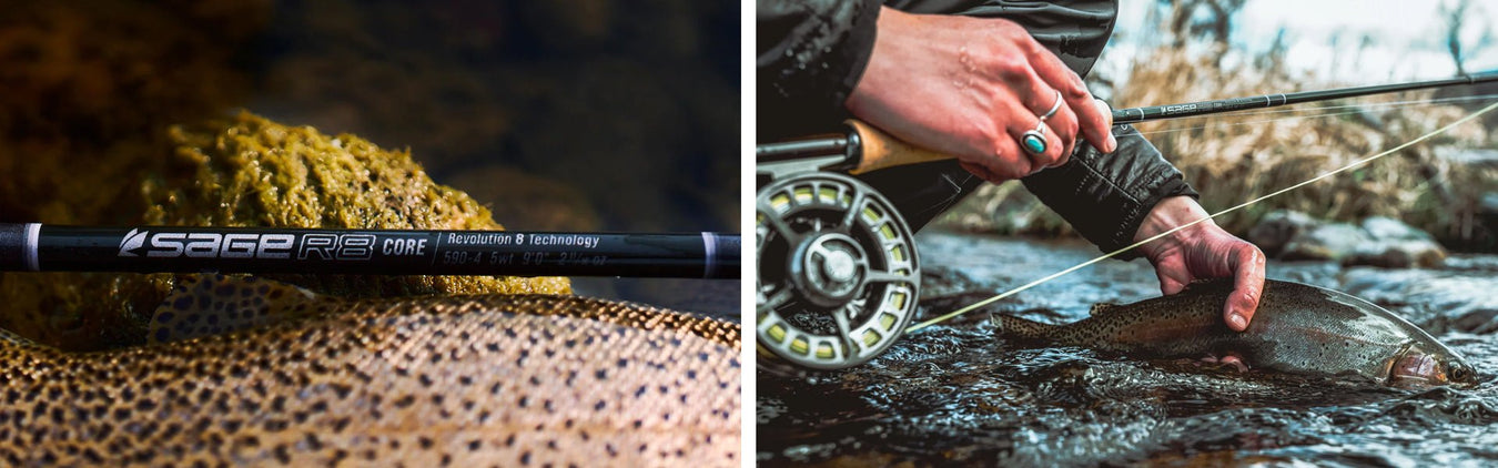 R8 Core Fly Rods - Golden Fly Shop