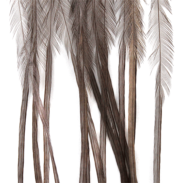 MFC - Whiting 100 Saddle Hackle Pack