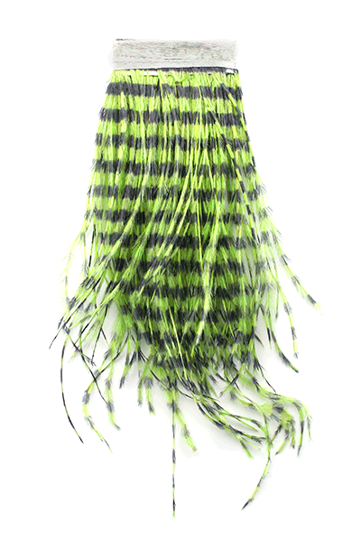 MFC Strung Barred Ostrich (5" Strip)