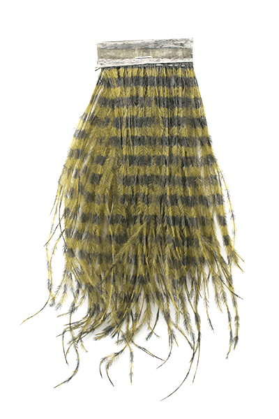 MFC Strung Barred Ostrich (5" Strip)
