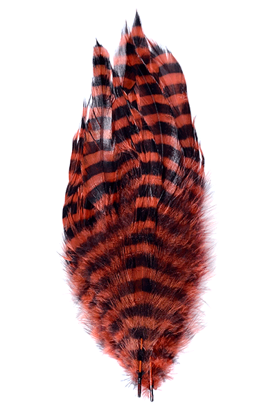 Barred Schlappen