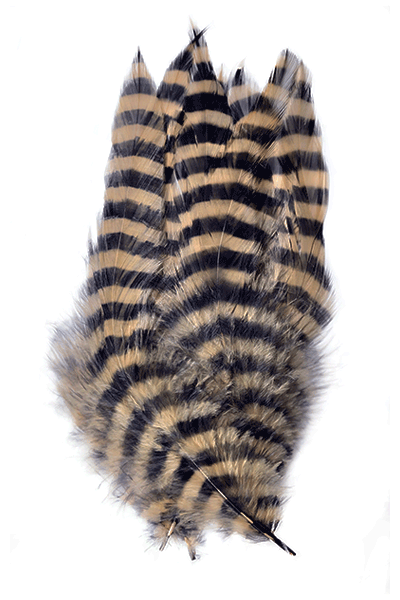 Barred Schlappen