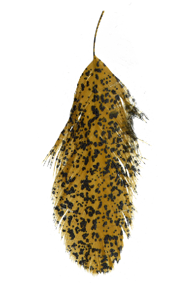 MFC Mottled Schlappen