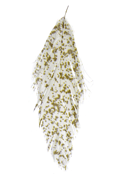 MFC Mottled Schlappen