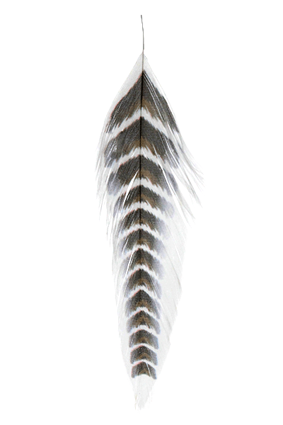 MFC Galloup's Fish Feathers Grizzled