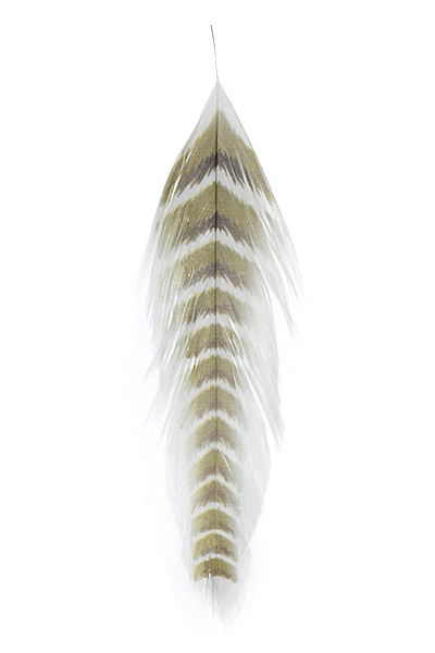 MFC Galloup's Fish Feathers Grizzled