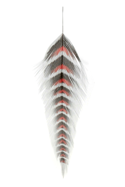 MFC Galloup's Fish Feathers Grizzled in Red and Black color variant for streamer fly tying.