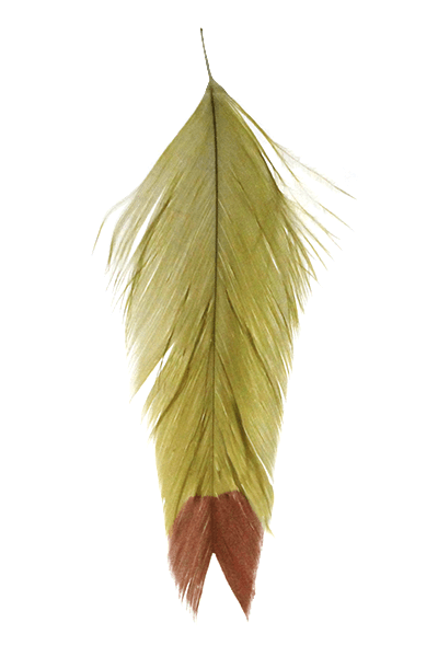 MFC Printed Fish Feathers Fin Tip