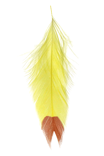 MFC Printed Fish Feathers Fin Tip