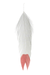 White feather with a red tip on a white background