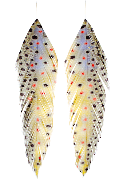 MFC Printed Fish Feathers