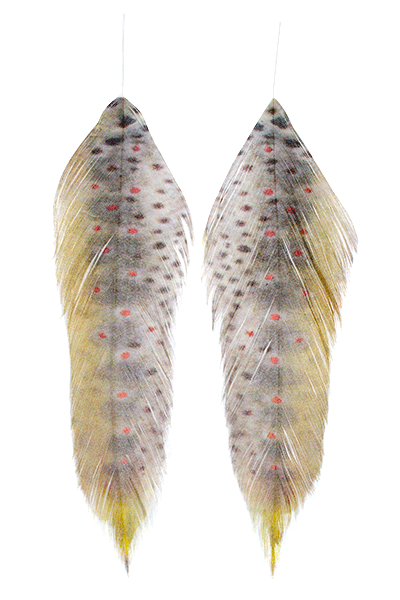 MFC Printed Fish Feathers