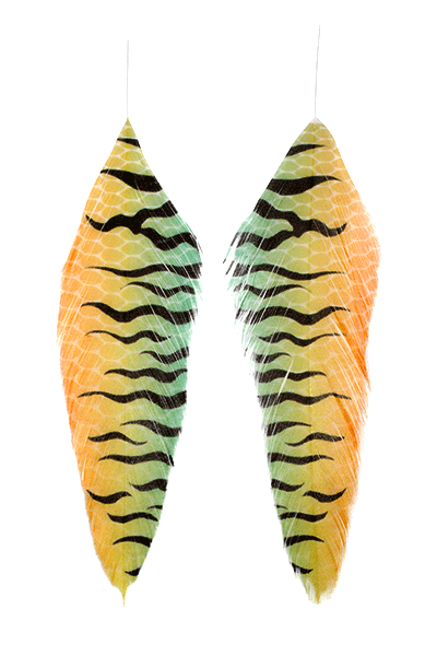 MFC Printed Fish Feathers