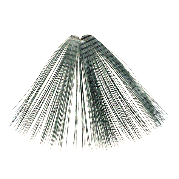 MFC Micro-Barred Fibbetts