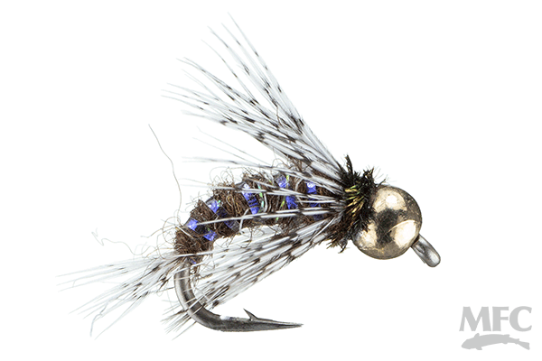 Anderson's Bird of Prey