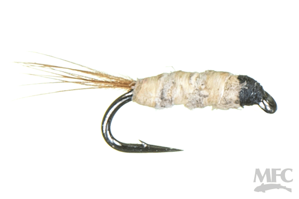 Buckskin Caddis