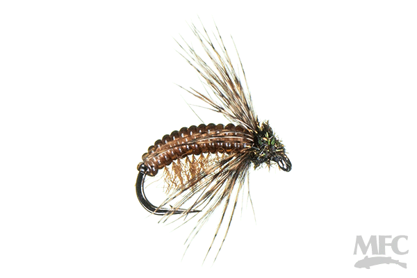 White's Caddie Shack