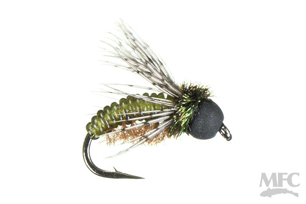 White's BH Caddie Shack