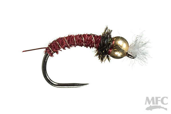 Rowley's Red Back Pheasant