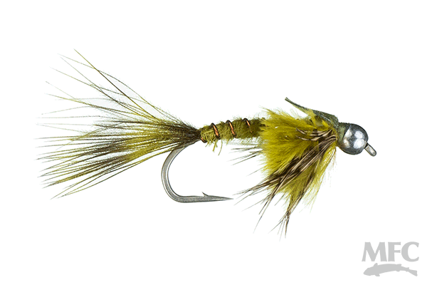 Rowley's Grizzly Damsel