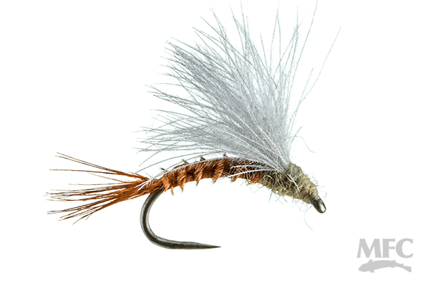 CDC Emerger