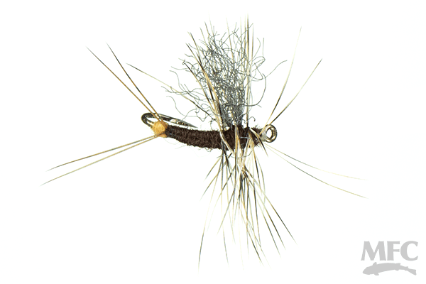 Galloup's Bent Cripple