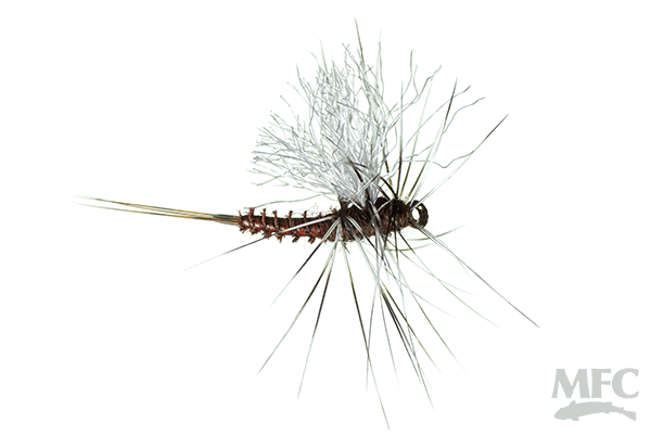 Criples Insect Galloup's OG Bent Cripple — Golden Fly Shop